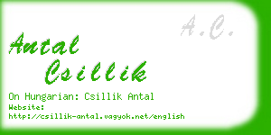 antal csillik business card